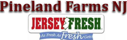Pineland Farms NJ